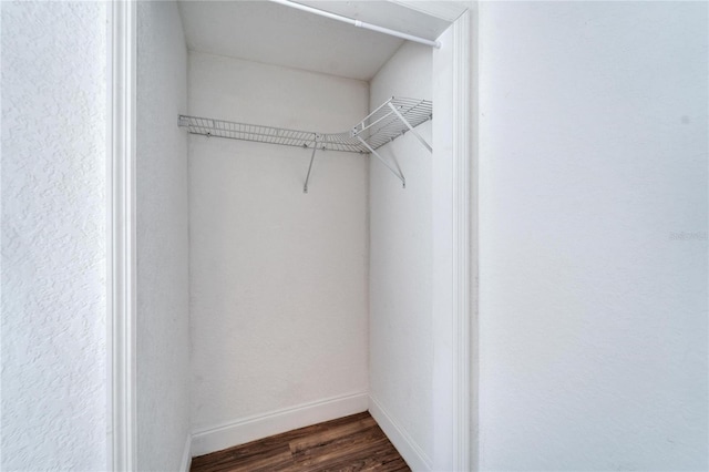 spacious closet featuring dark hardwood / wood-style flooring