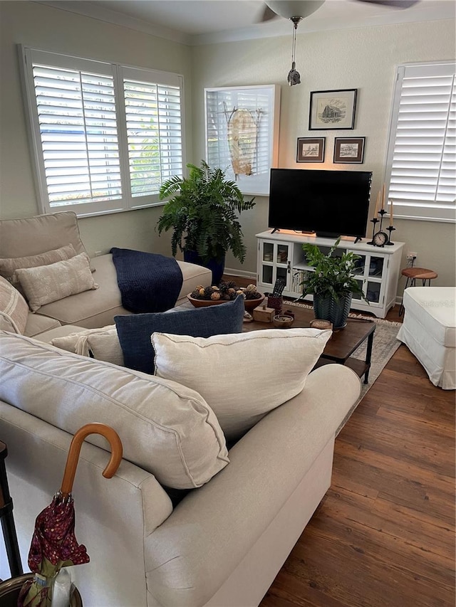 living room with crown molding and dark wood-style floors