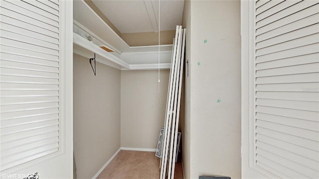 walk in closet with carpet floors