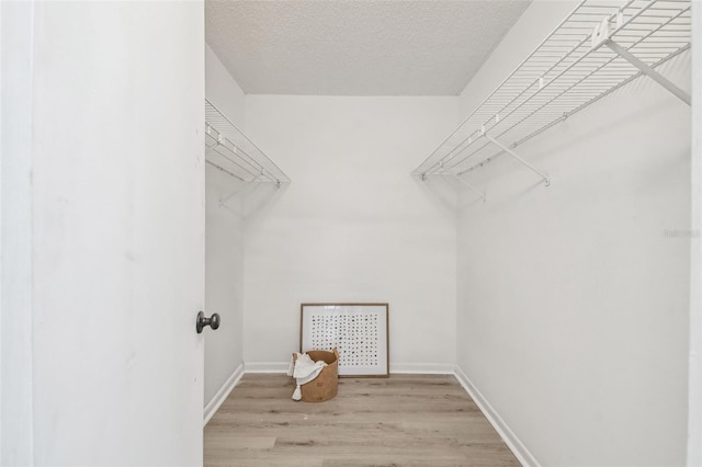 spacious closet featuring light hardwood / wood-style flooring