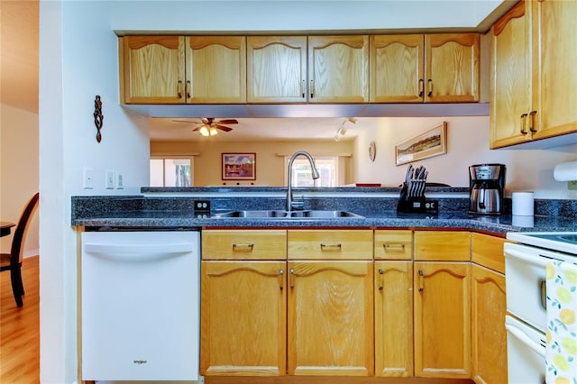 kitchen featuring sink, white appliances, and ceiling fan