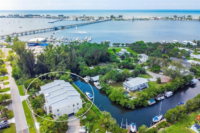 aerial view with a water view