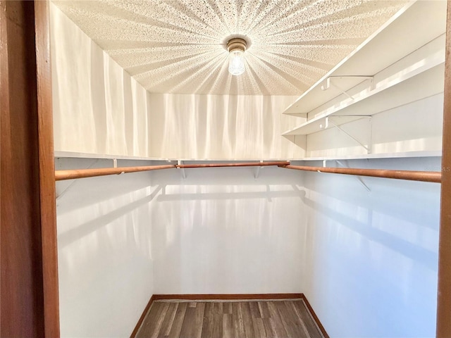 walk in closet featuring wood-type flooring