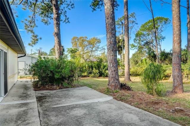 view of yard featuring a patio