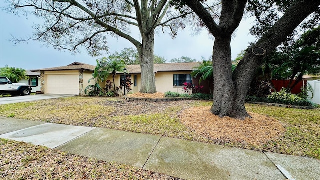 1670 Monterey Dr, Clearwater, FL 33756 - single story home with stucco siding, a garage, concrete driveway, and fence