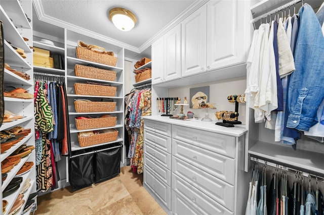 view of walk in closet