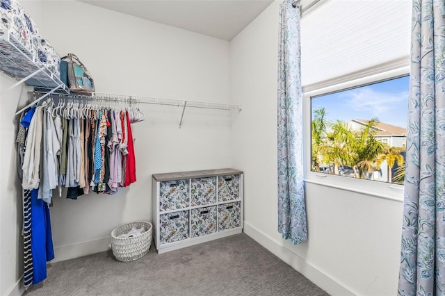 walk in closet with carpet floors