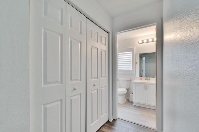 bathroom featuring vanity, wood-type flooring, and toilet