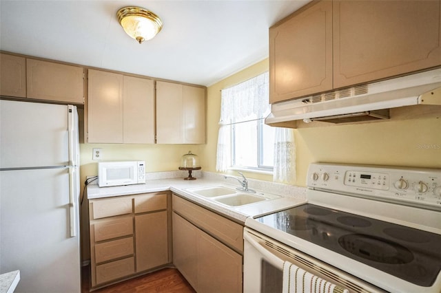 kitchen featuring dark wood-type flooring, white appliances, sink, and light brown cabinets