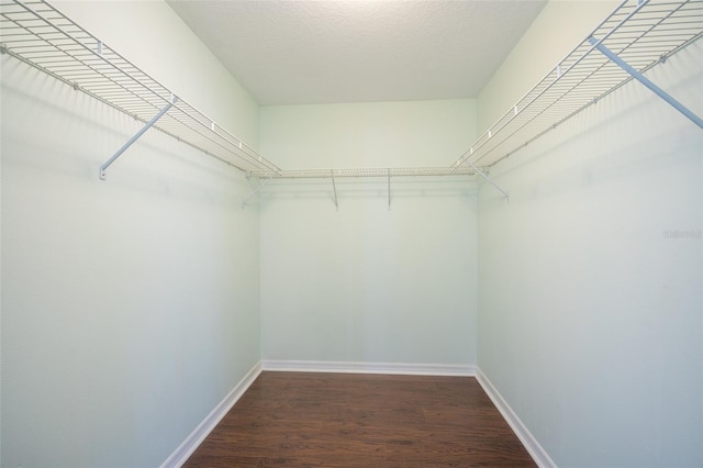 walk in closet featuring wood finished floors