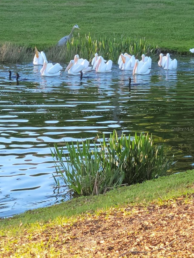 view of water feature