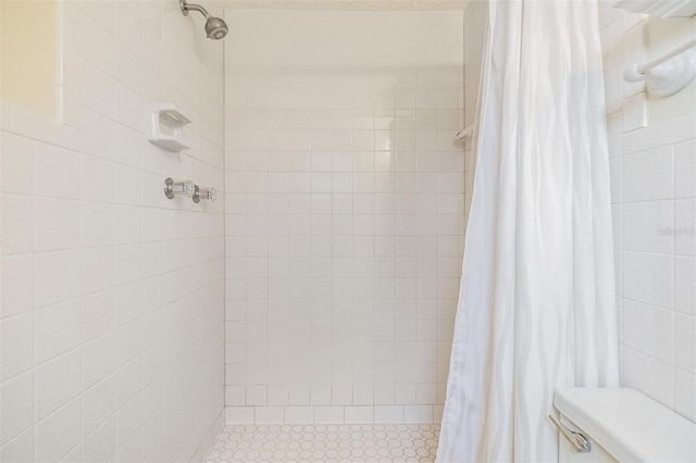 bathroom featuring toilet and curtained shower