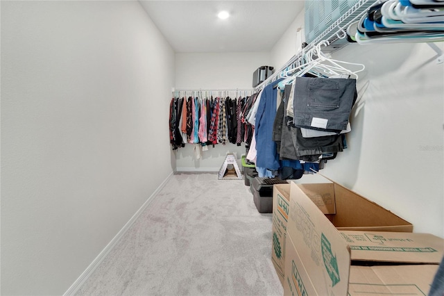 walk in closet featuring carpet flooring