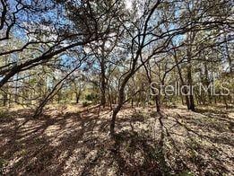 Listing photo 3 for 12 Apple Ct, Homosassa FL 34446