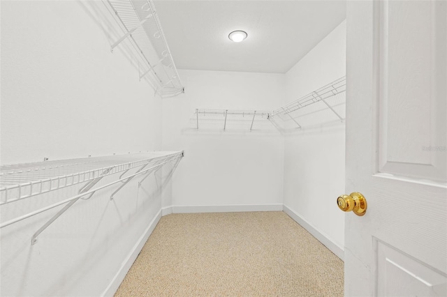 walk in closet featuring carpet flooring