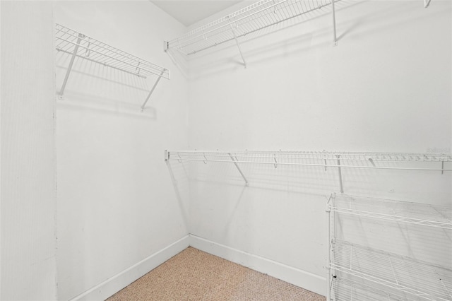 spacious closet with carpet