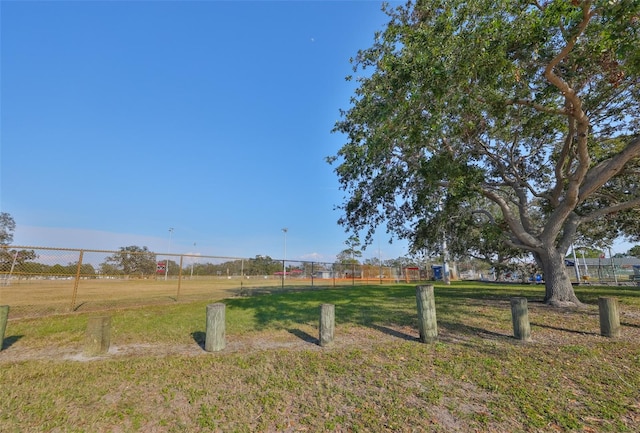 view of yard with a rural view