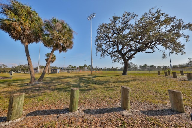 view of yard