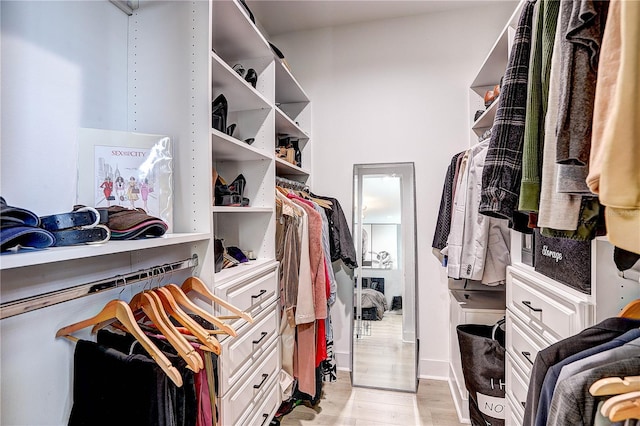 walk in closet featuring light hardwood / wood-style floors