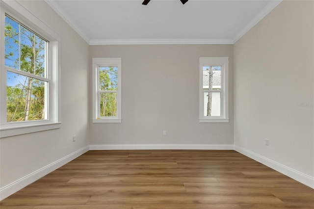 2436 Jacobs St, Port Charlotte, FL 33953 - photo 24