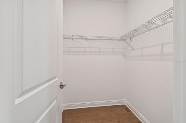 spacious closet featuring hardwood / wood-style floors