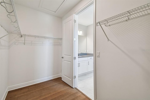 walk in closet with sink and hardwood / wood-style floors