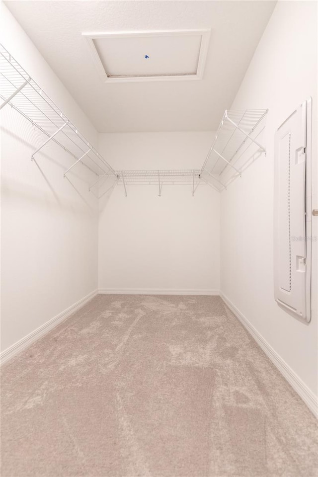 walk in closet featuring light carpet, attic access, and electric panel