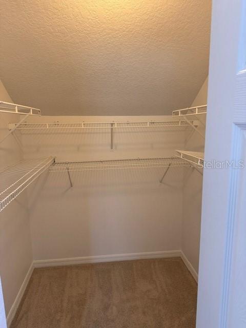 walk in closet featuring carpet floors