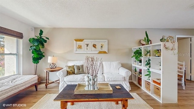 living area featuring light hardwood / wood-style floors and a textured ceiling