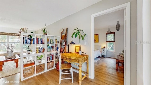 interior space featuring wood-type flooring and a wealth of natural light