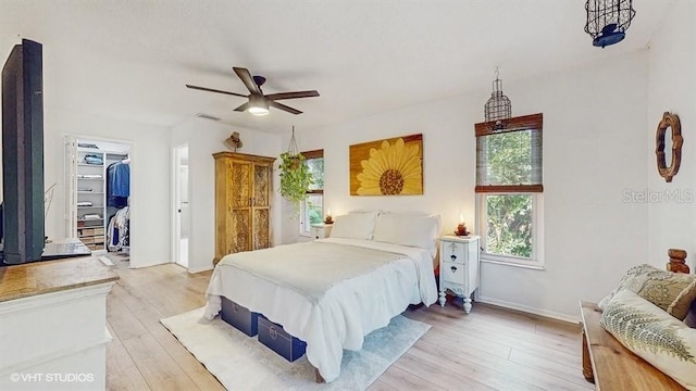 bedroom featuring a spacious closet, a closet, ceiling fan, and light wood-type flooring