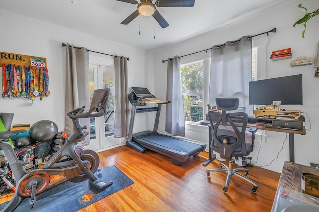 exercise area with hardwood / wood-style flooring and ceiling fan