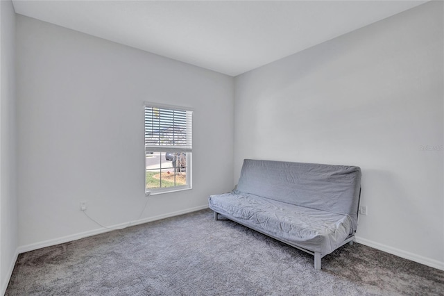 sitting room with carpet floors