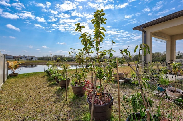 view of yard with a water view