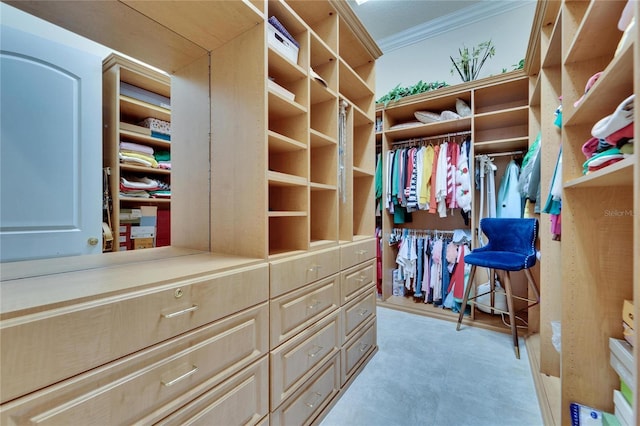 view of walk in closet