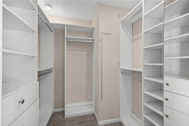 spacious closet with carpet floors