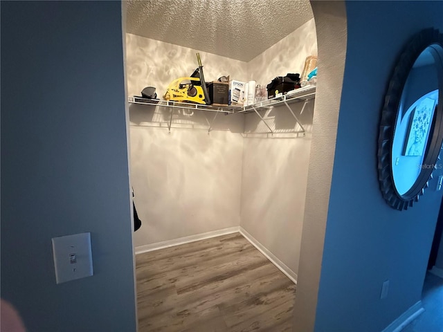 walk in closet featuring wood-type flooring