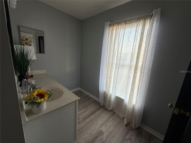 interior space featuring wood-type flooring, vanity, and a wealth of natural light