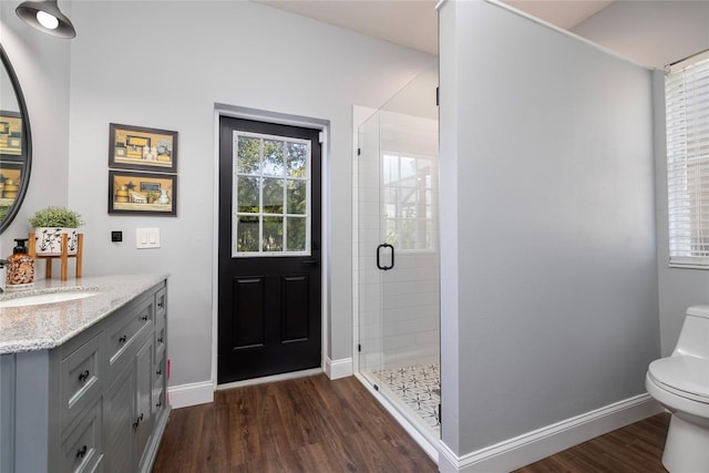 bathroom with vanity, a shower with shower door, a healthy amount of sunlight, and toilet