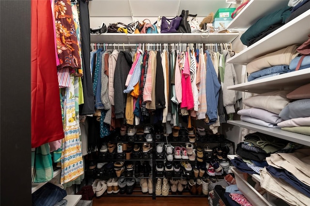 spacious closet with wood-type flooring