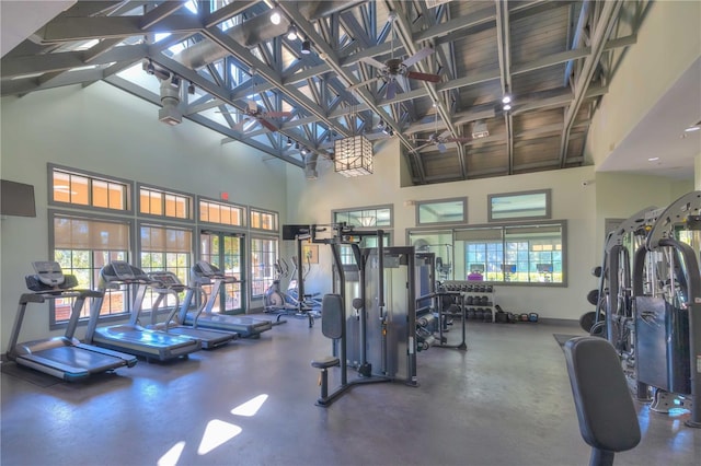 exercise room with a towering ceiling