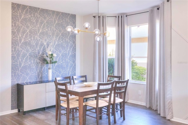 dining space featuring dark hardwood / wood-style flooring