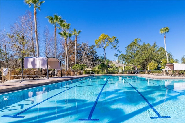 view of swimming pool