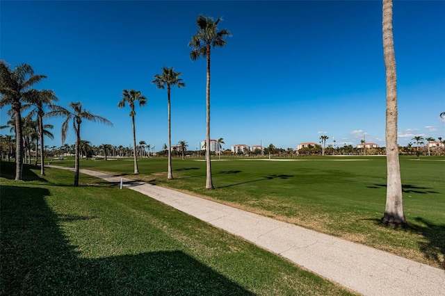 view of community featuring a yard