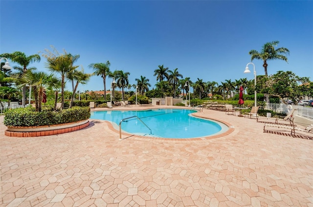 view of swimming pool with a patio