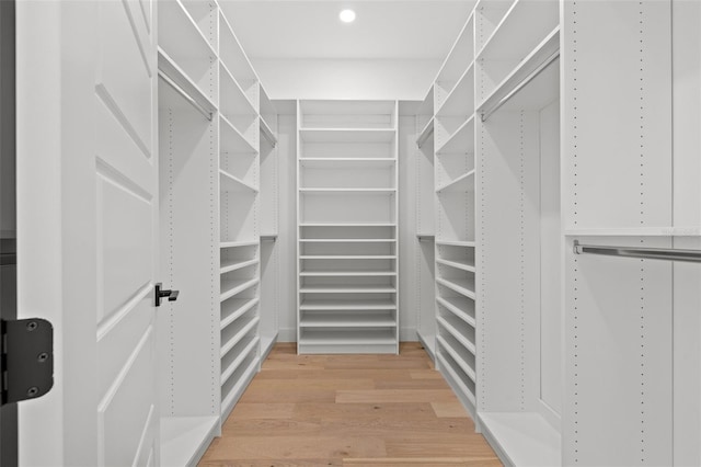 spacious closet featuring wood-type flooring