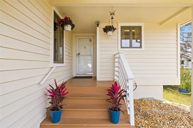 1007 Lake Avoca Dr, Tarpon Springs, FL 34689 - view of exterior entry
