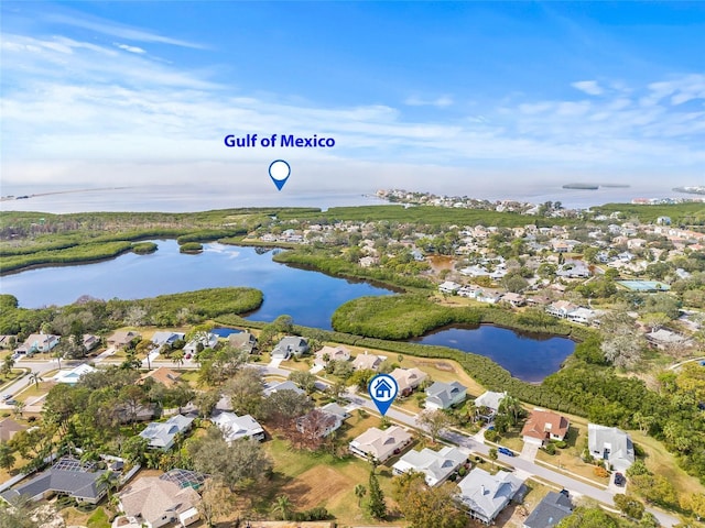 1007 Lake Avoca Dr, Tarpon Springs, FL 34689 - birds eye view of property with a water view