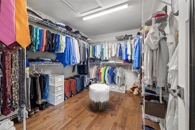 spacious closet with hardwood / wood-style flooring