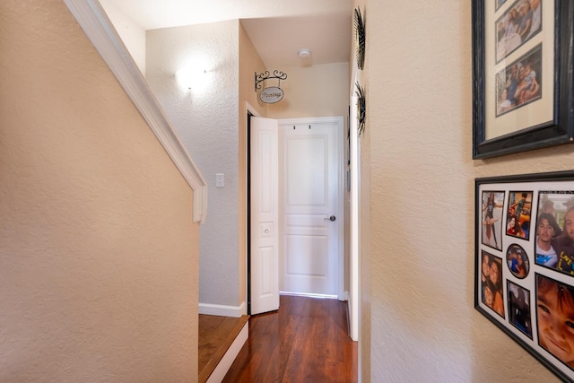 102 Brent Cir, Oldsmar, FL 34677 - corridor with a textured wall, dark wood-style floors, and baseboards